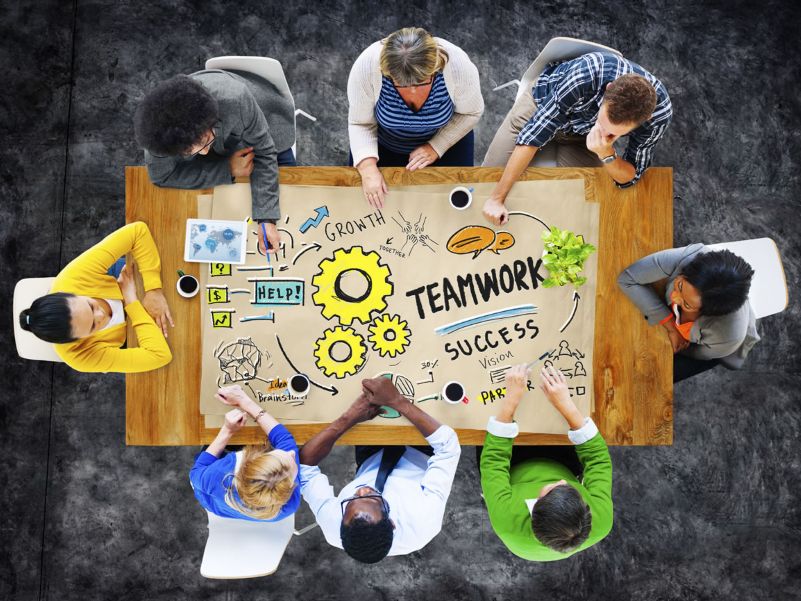 Meet the Team